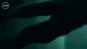 Jodie Whittaker Thirteenth Doctor GIF by Doctor Who