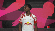 Rb Leipzig Football GIF by Bundesliga