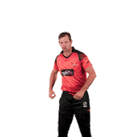 sunriserseasterncape cricket sec sunrisers sa20 Sticker