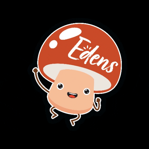 Snack GIF by Edens Chips