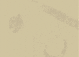 finno animation flower motion graphics grow GIF