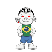 Rio De Janeiro Crush Sticker by Zhot