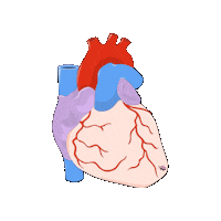 revmed heart hearts study medicine Sticker
