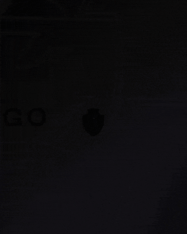 Vasco Da Gama GIF