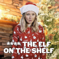 **** The Elf On The Shelf