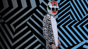 Sport GIF by BS+COMPETITION
