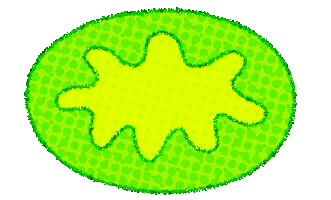 Bacteria Petri Dish Sticker by jadecsmith