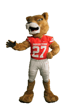 Romance Love Sticker by University of Houston