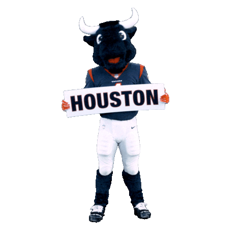 Get Up Nfl Sticker by Houston Texans