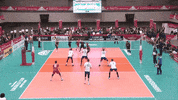 Celebration GIF by Volleyball World