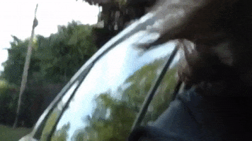 Driving Pop Music GIF by Nell Mescal