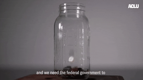 Voting Federal Government GIF by ACLU