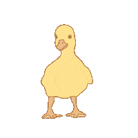 Farm Animal Duck Sticker