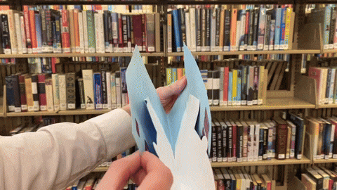 pblenski giphyupload valentine shark GIF