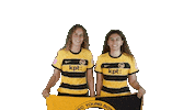 Bscyb Ybforever Sticker by BSC Young Boys