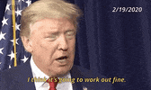 Donald Trump GIF