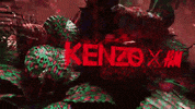 GIF by PAPER