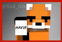 Hayır GIF