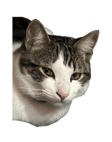 Sticker by bmoore210