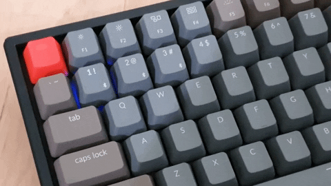 clairechang749b giphygifmaker GIF