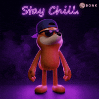 Sunglasses Stay Chill GIF by BONK
