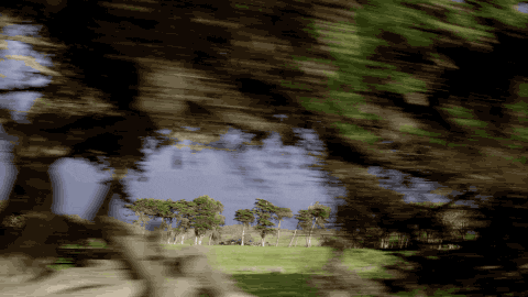 unreal GIF by EchoBoom Sports