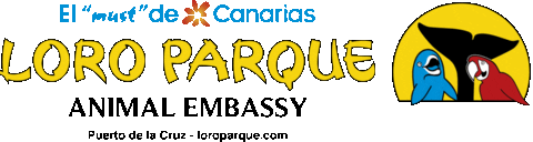 Puertodelacruz Sticker by Loro Parque