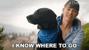 The Pack Dogs GIF by Amazon Prime Video