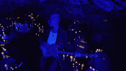 5sos GIF by 5 Seconds of Summer