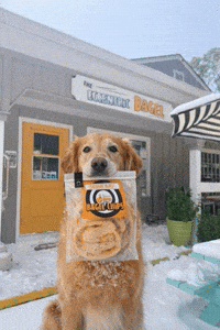 Winter Chips GIF by The Eccentric Bagel