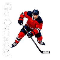 Made In Canada Sport Sticker by TresorsDuMonde.ca