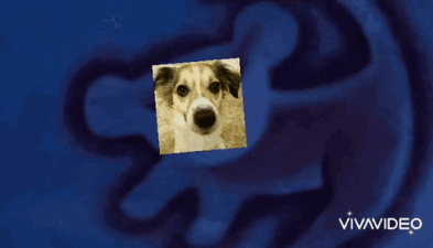 Max_The_Emperor giphygifmaker giphygifmakermobile GIF