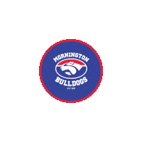 aflse chelsea mpfnl Sticker