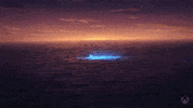 Disappointed What The GIF by Xbox