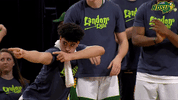 GIF by NDSU Athletics