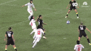 Alanna Kennedy Goal GIF by Football Australia