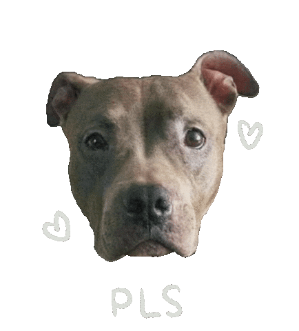Staffy Sticker