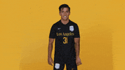 Cal State La Soccer GIF by Cal State LA Golden Eagles