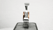 Fidget GIF by Big Poppa E