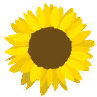 Summer Flower Sticker