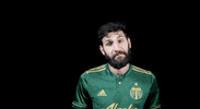 portland timbers shrug GIF by Timbers