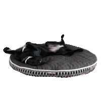 lazy STICKER by imoji