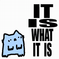 Spainnubcat GIF