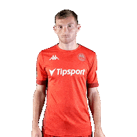 Liptovsky Mikulas Football Sticker by Fortuna Liga