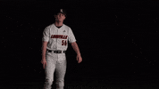 University Of Louisville Baseball GIF by Louisville Cardinals