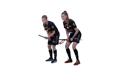 Floorball Salibandy Sticker by F-liiga