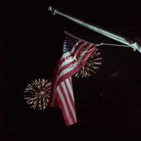 4Th Of July Usa GIF by Respective