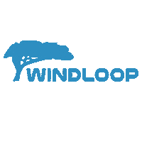 Kite Kitesurf Sticker by Windloop