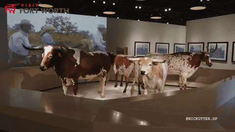 Travel Texas GIF by Visit Fort Worth