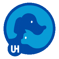 Futuro Sticker by UH